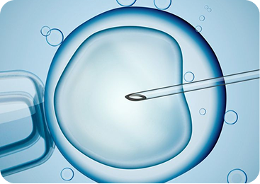 Consultation & Fertility Check :